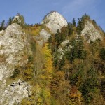 fot. M. Szajowski