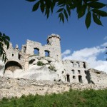 fot.zamek-ogrodzieniec.pl