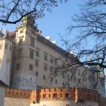foto Marcelina Zając-Korejwo