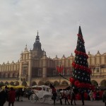 foto Marcelina Zając-Korejwo
