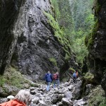 fot.Tomasz Wojciechowski